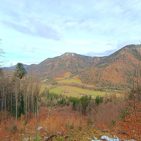 Hintererhof Apartment Hintersee Bagian luar foto