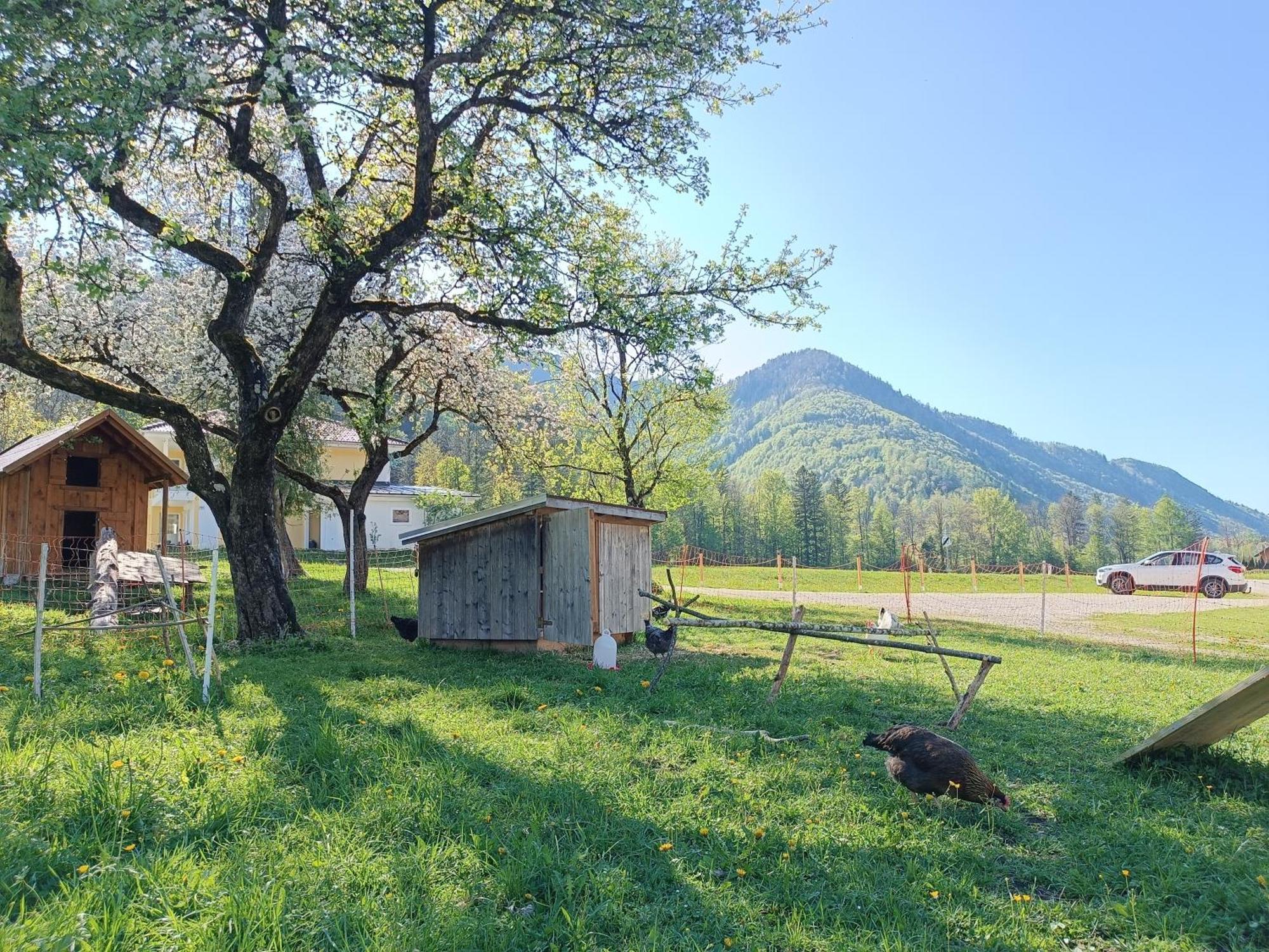 Hintererhof Apartment Hintersee Bagian luar foto