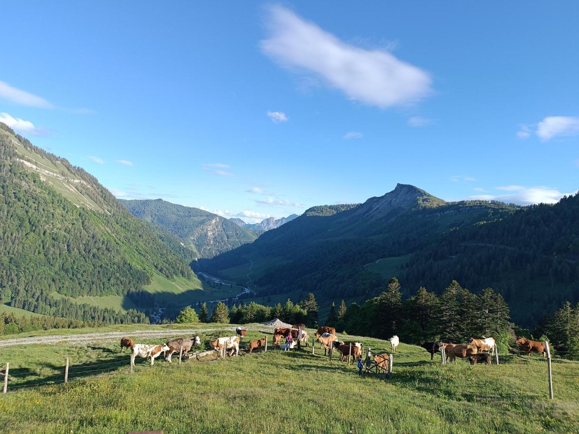 Hintererhof Apartment Hintersee Bagian luar foto